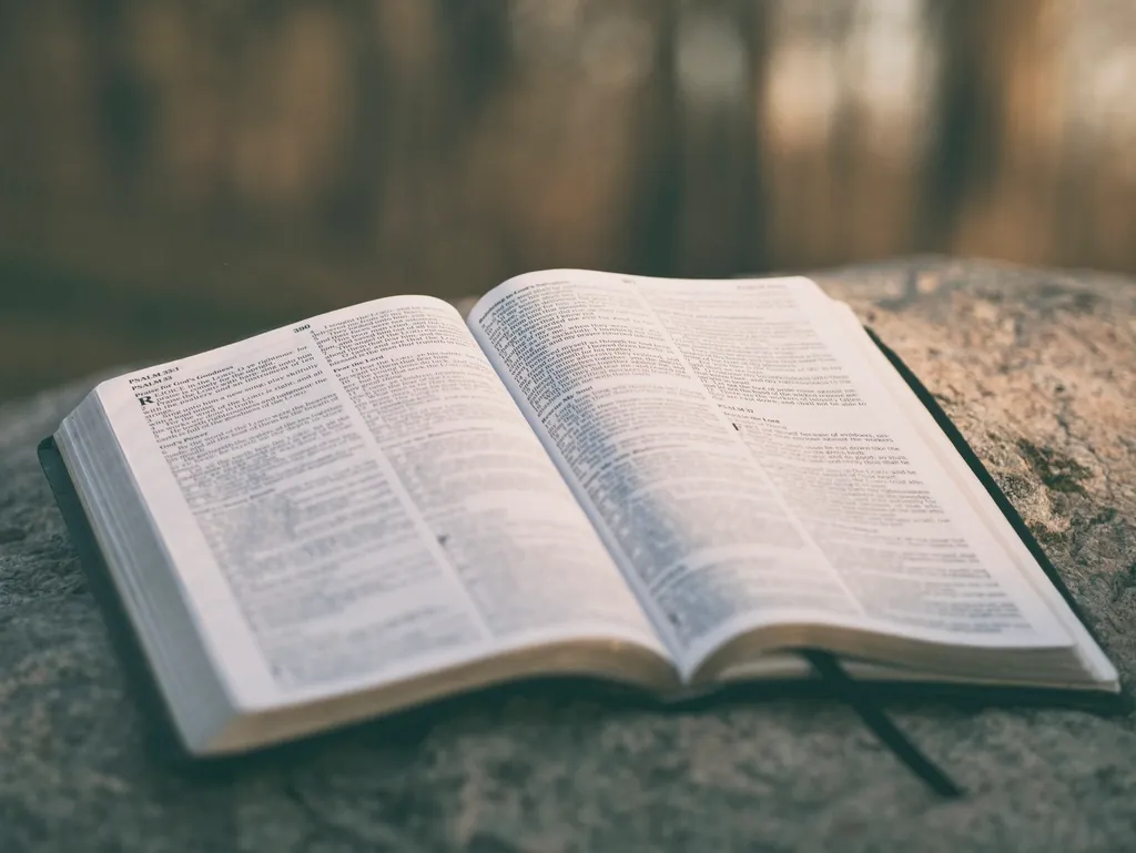 An open Bible resting on a stone